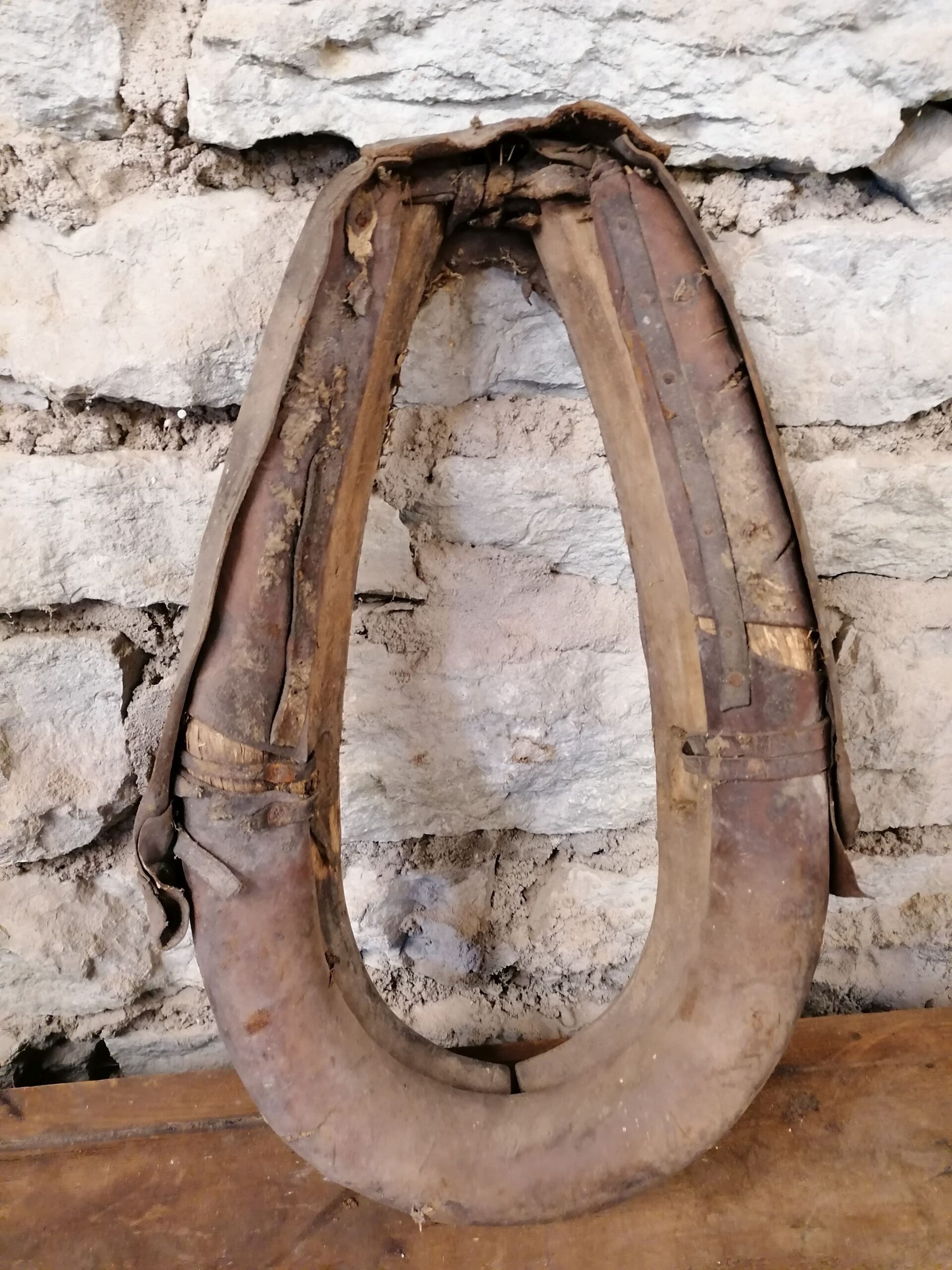 Hobuse rangid - Image 2