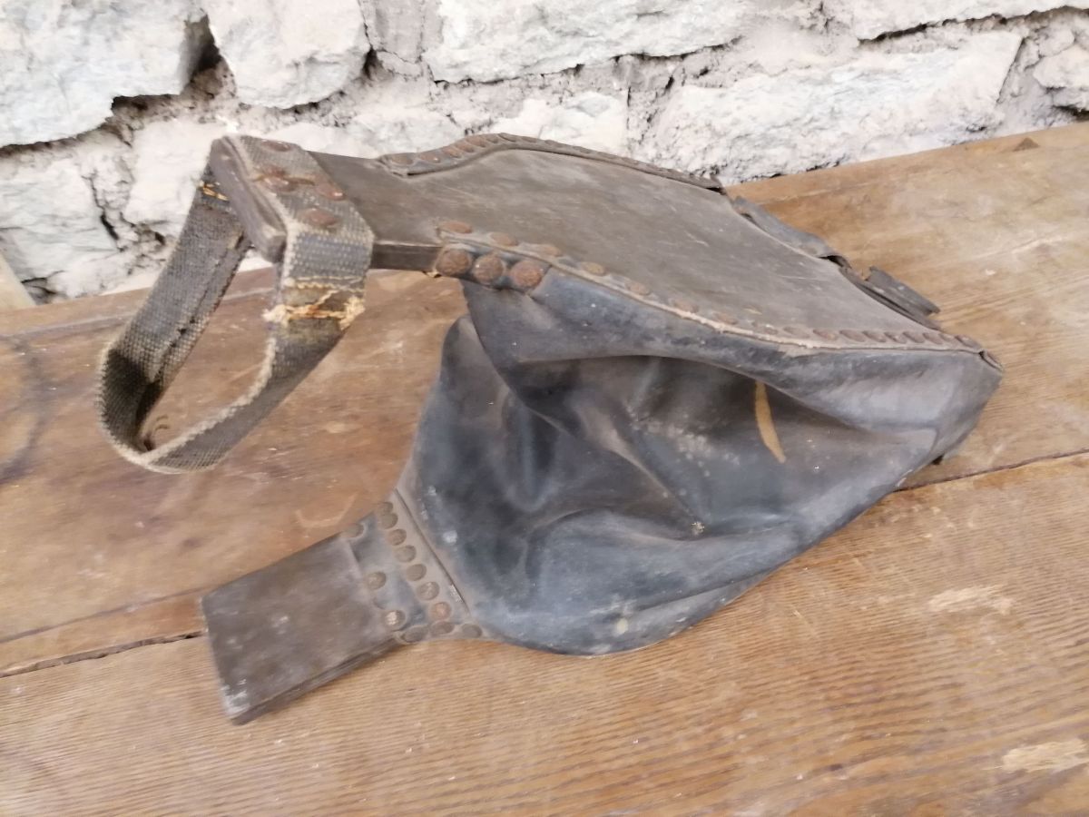 EW aegne sepalõõts