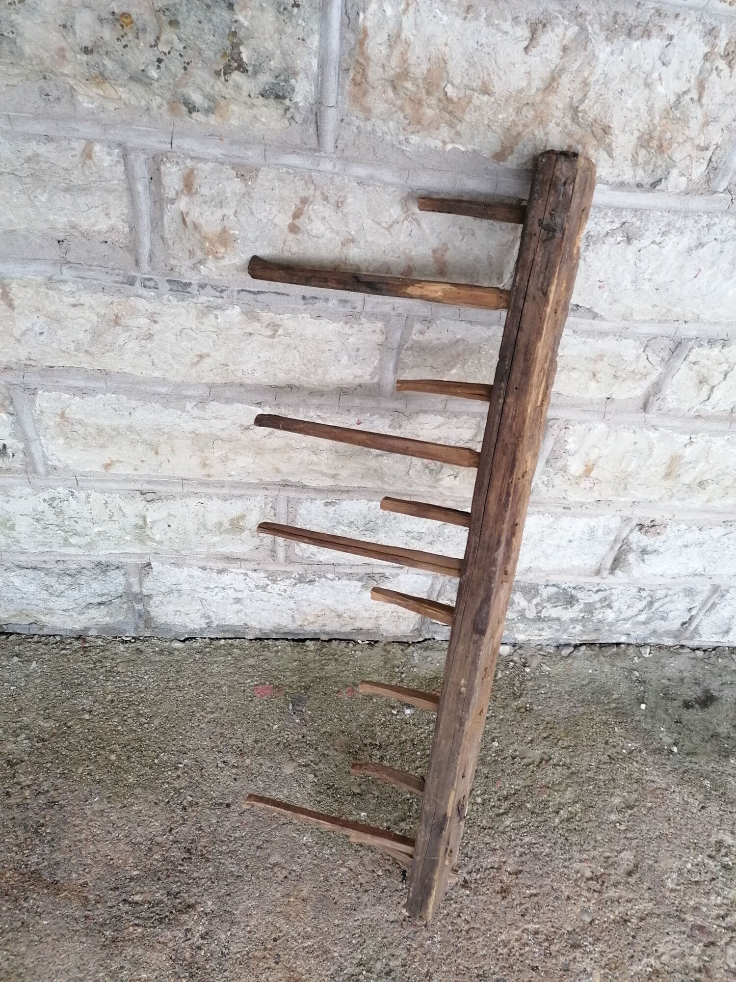 EW aegne talunagi - Image 3