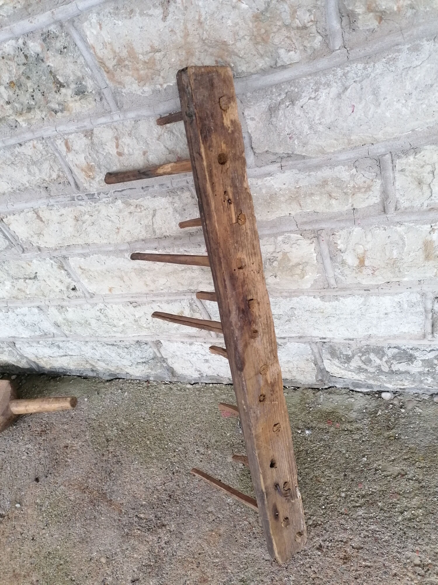 EW aegne talunagi - Image 4