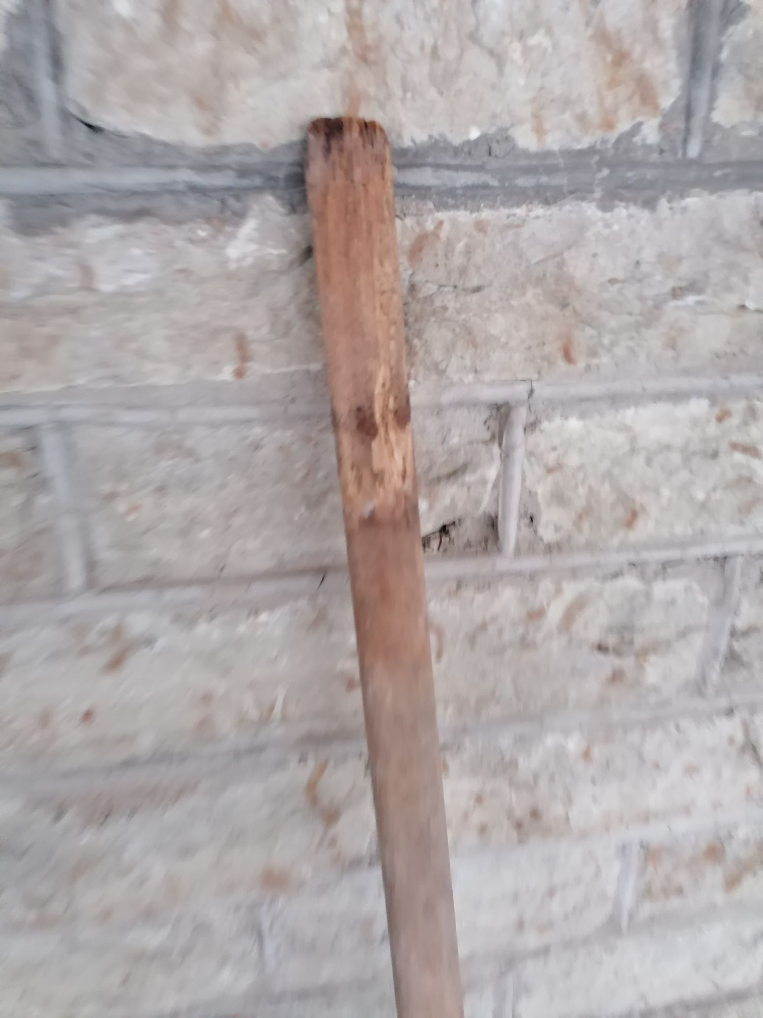 EW aegne leivalabidas - Image 2