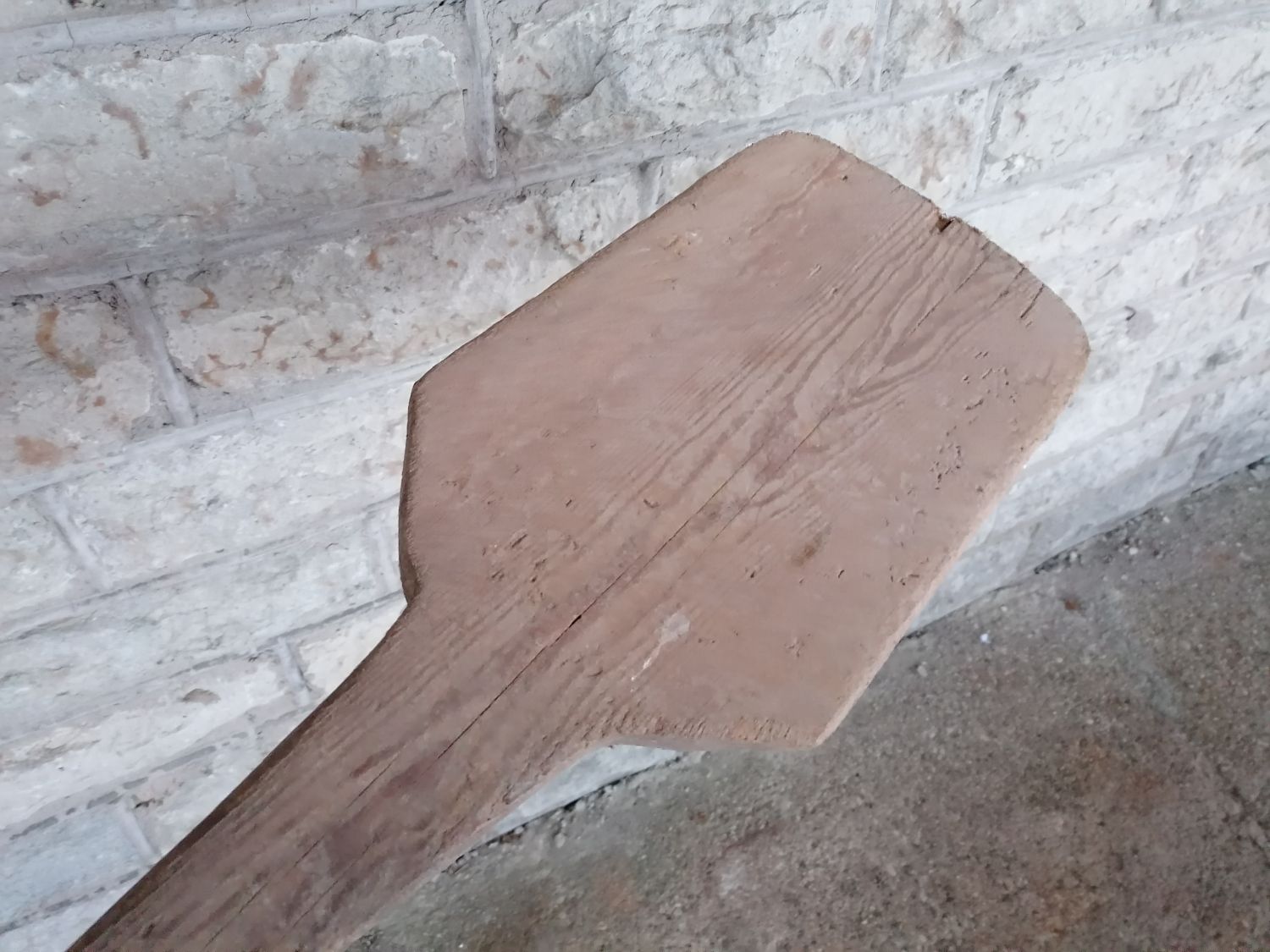 EW aegne leivalabidas - Image 6