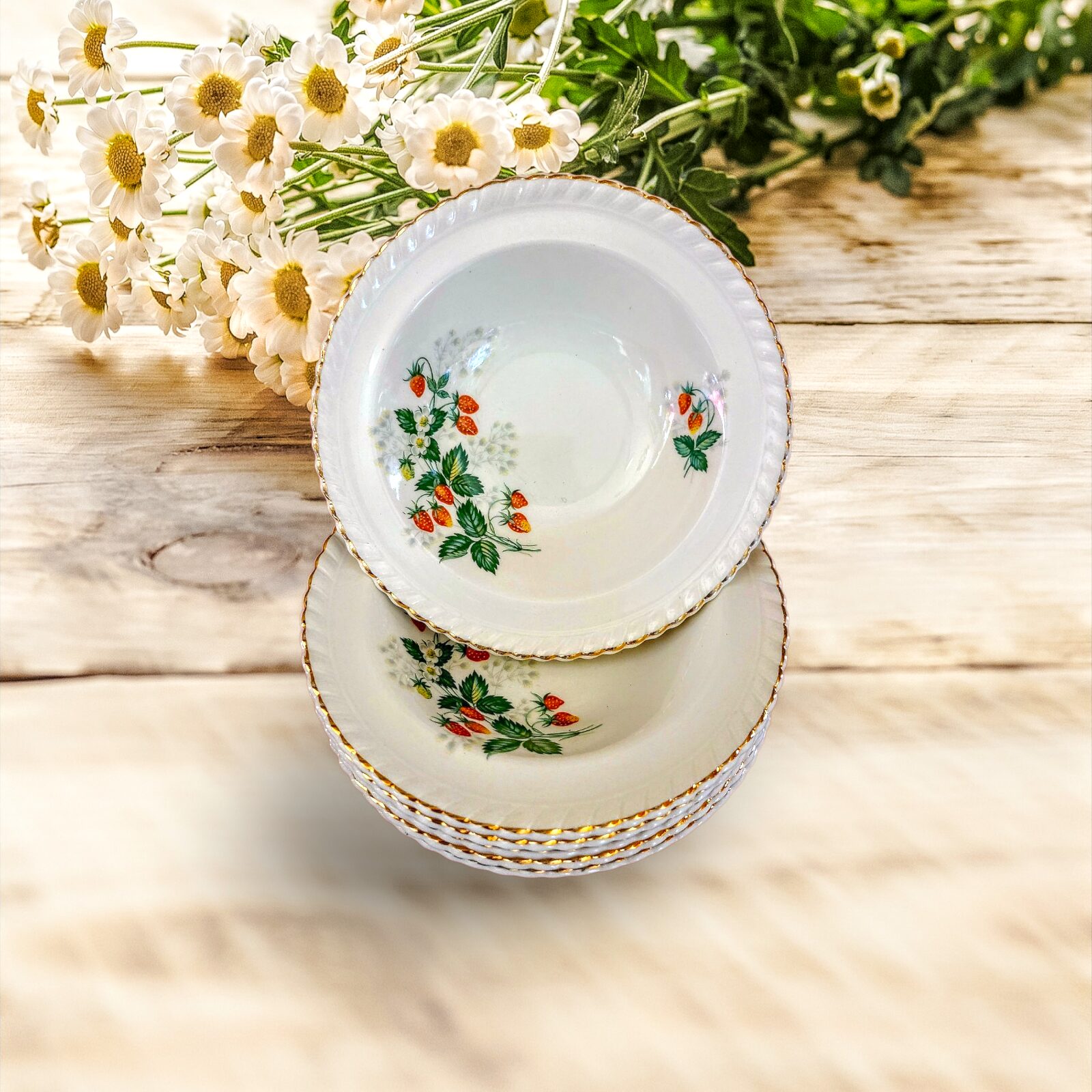 Magustoidukausid - Johnson Bros (6 tk)