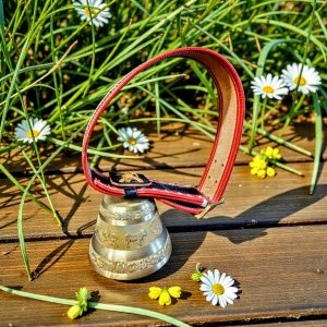 Šveitsi dekoratiivne lehmakell nahkrihmaga, vintage 1977
