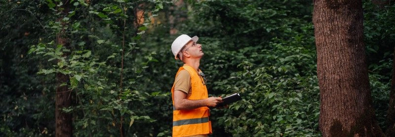 Raieõiguste hindamine